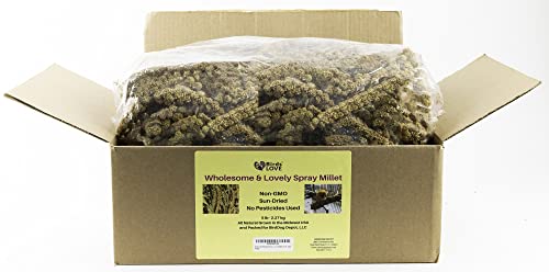 Wholesome & Lovely Non-GMO Spray Millet for Parrots - Healthy Treat 5lbs  
Wholesome & Lovely Spray Millet for Cockatiel