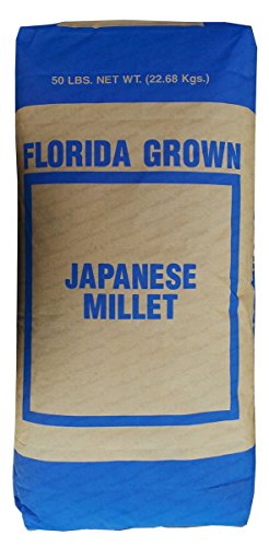 Japanese Millet Seed from SeedRanch - Perfect for Small Farms and Homesteads - Great for Grain Milling and Bird Feed -