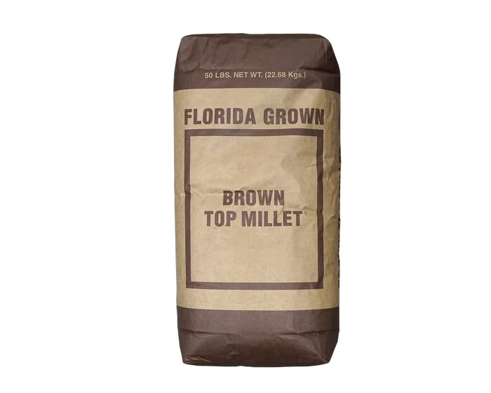 Brown Millet Seed - Large Grain, Organic, 25 Lbs. for Health-conscious Consumers - Perfect for Health Benefits and Diges