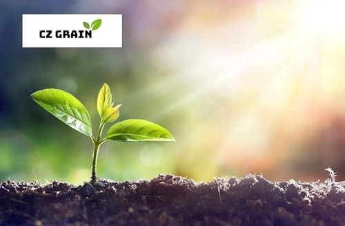 Brown Pennisetum glaucum Grass Seeds for Gardening - Ornamental Uses (5,000 Seeds)  
Brown Millet Grass Seeds for Landsc