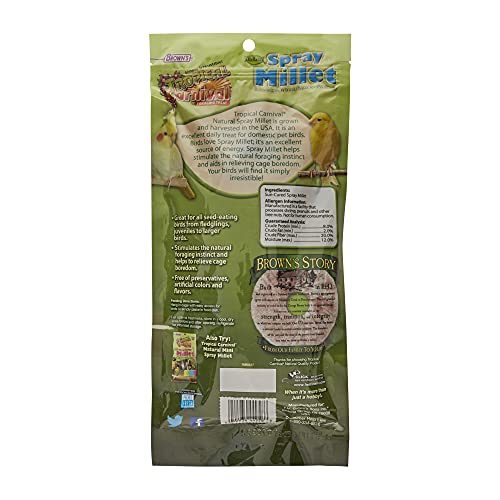 F.M. Brown's Tropical Carnival Natural Spray Millet Daily Natural Foraging Treat for Seed-Eating Birds
| F.M. Brown's S