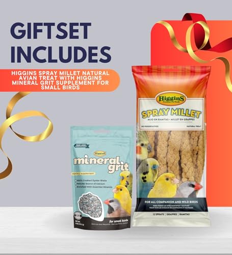 Higgins Spray Millet Natural Avian Treat 12 CT Bundle – Nutrient-Rich Foraging Treat for Parakeets, Cockatiels & Small B