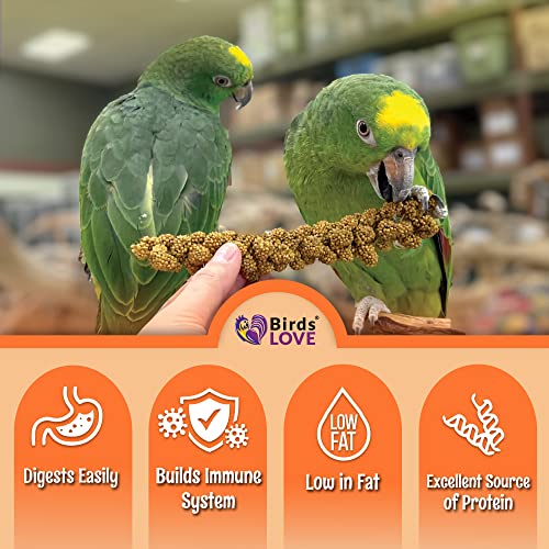 Wholesome & Lovely Non-GMO Spray Millet for Cockatiel Parakeet Finch Canary Parrots Healthy Treat 2LBS - Birds Love