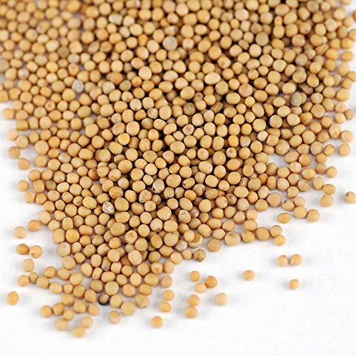Non-GMO Organic Hull-Intact Millet Seeds: Super Sprouting Grain for Animals & Birds - 35 Lb Bag
| Organic Whole Millet