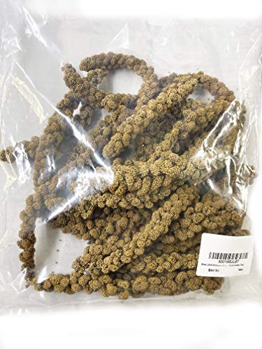 Birds LOVE Wholesome & Lovely GMO Free Spray Millet - Parrot Healthy Treat - 1lb
Birds LOVE Wholesome & Lovely Spray Mil