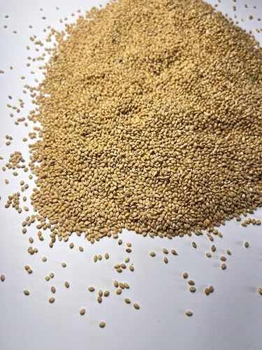 Golden Millet Waterfowl Ducks Food Plot Seeds 1 lb. for Hunting Birds and Wildlife Attractants