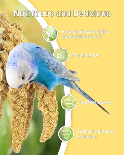 BUCATSTATE Sun-Dried Millet Treats for Parakeets and Parrots - GMO-Free
| BUCATSTATE Spray Millet Treats for Lovebirds,