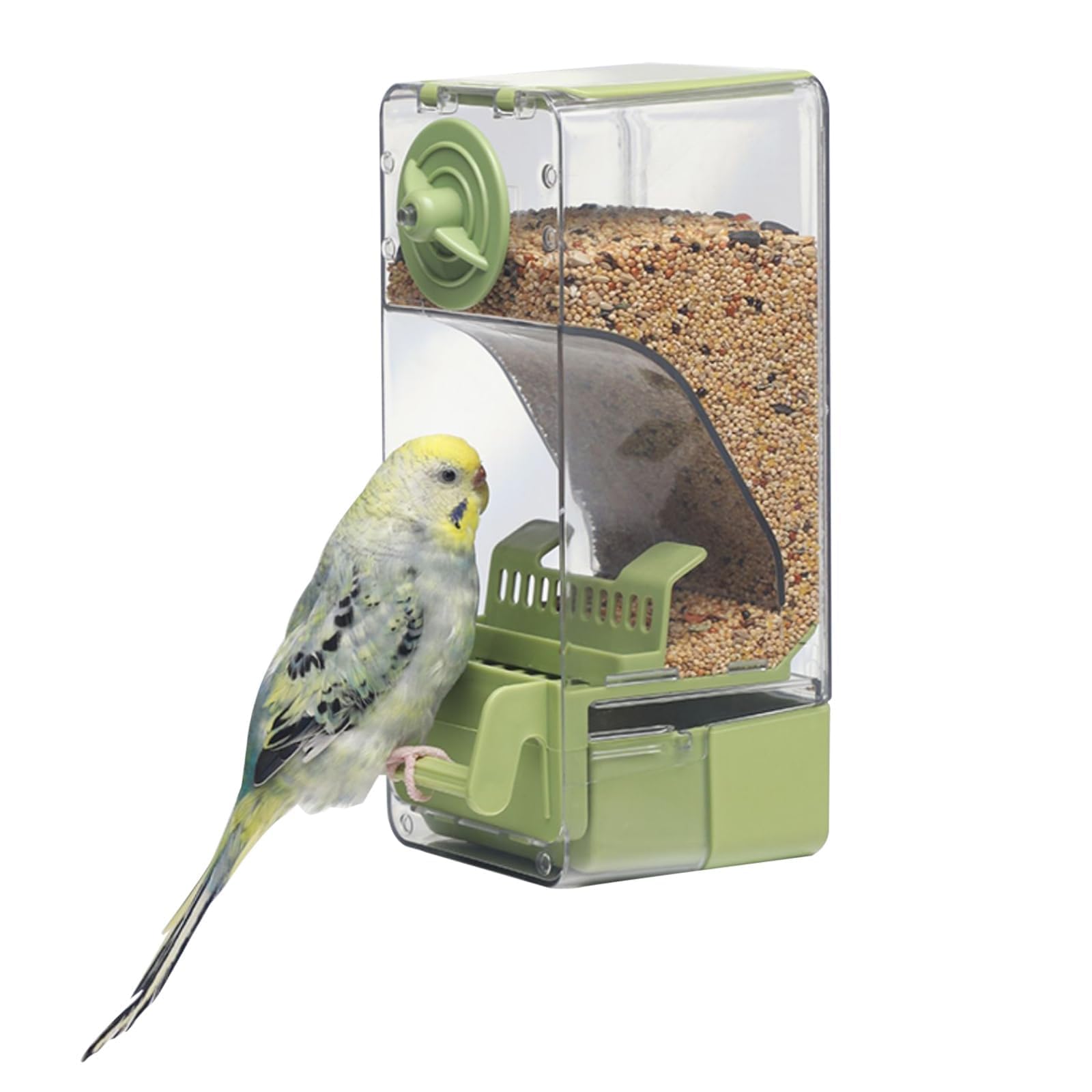Automatic Bird Feeder with Perch for Parakeet Canary Cockatiel Finch (Green)  
Automatic Parakeet Bird Feeder with Perch