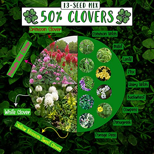 No-Till Cover Crop 13-Seed Mix for Sustainable Farming: 50% Clovers Plus Fenugreek, Vetch, Flax, Cowpeas, Buckwheat, Fo
