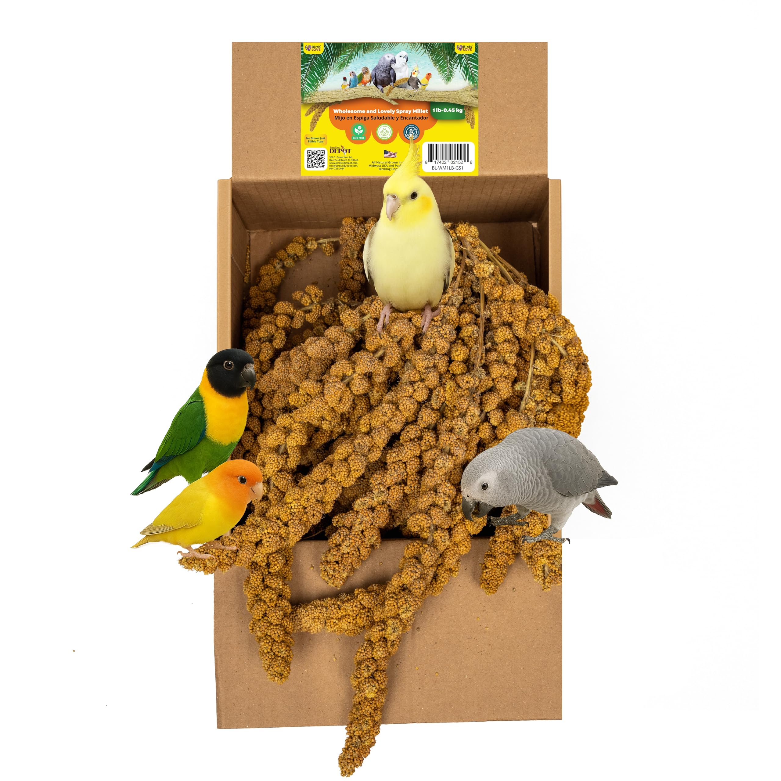 Birds LOVE Wholesome & Lovely GMO Free Spray Millet - Parrot Healthy Treat - 1lb
Birds LOVE Wholesome & Lovely Spray Mil