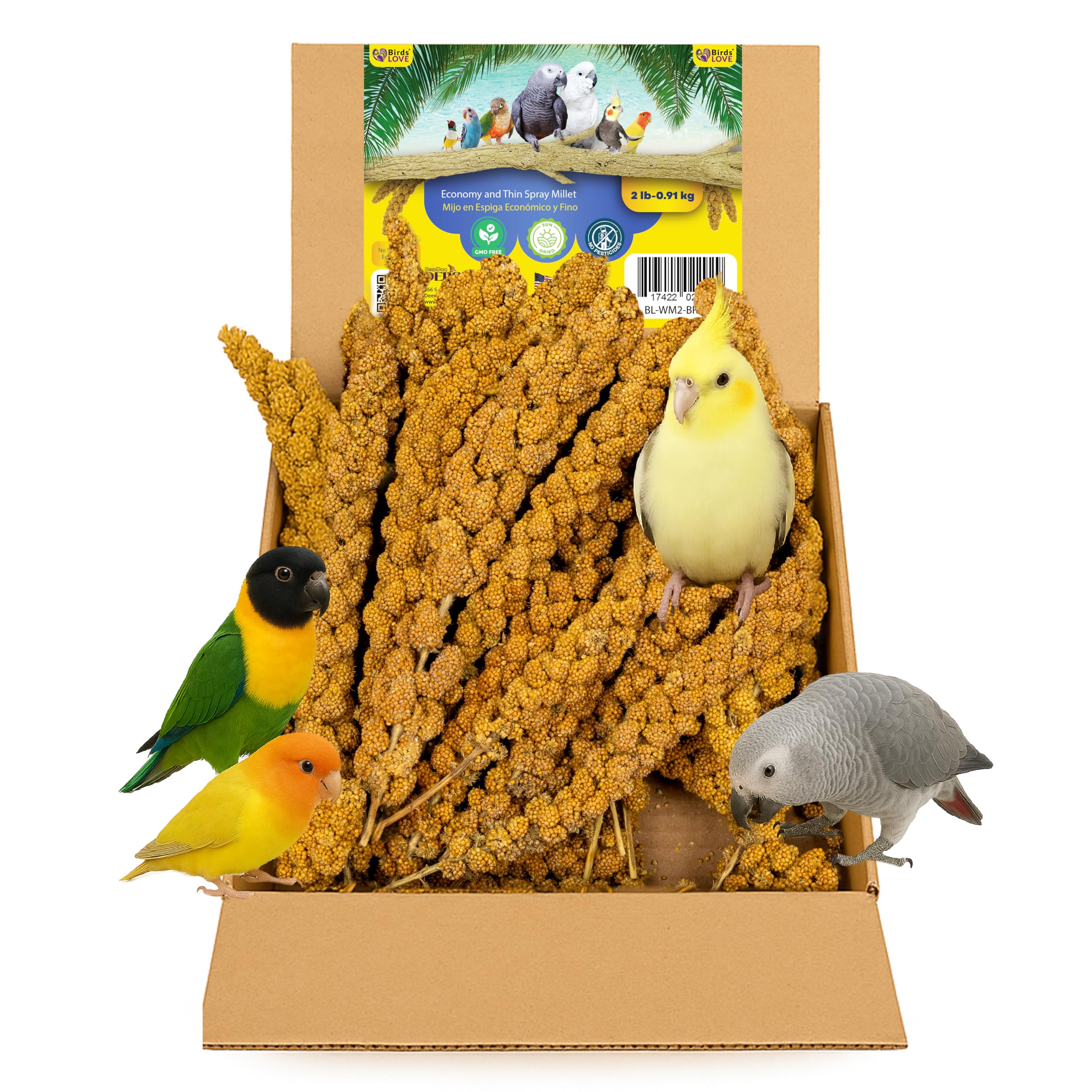 Wholesome & Lovely Non-GMO Spray Millet for Cockatiel Parakeet Finch Canary Parrots Healthy Treat 2LBS - Birds Love